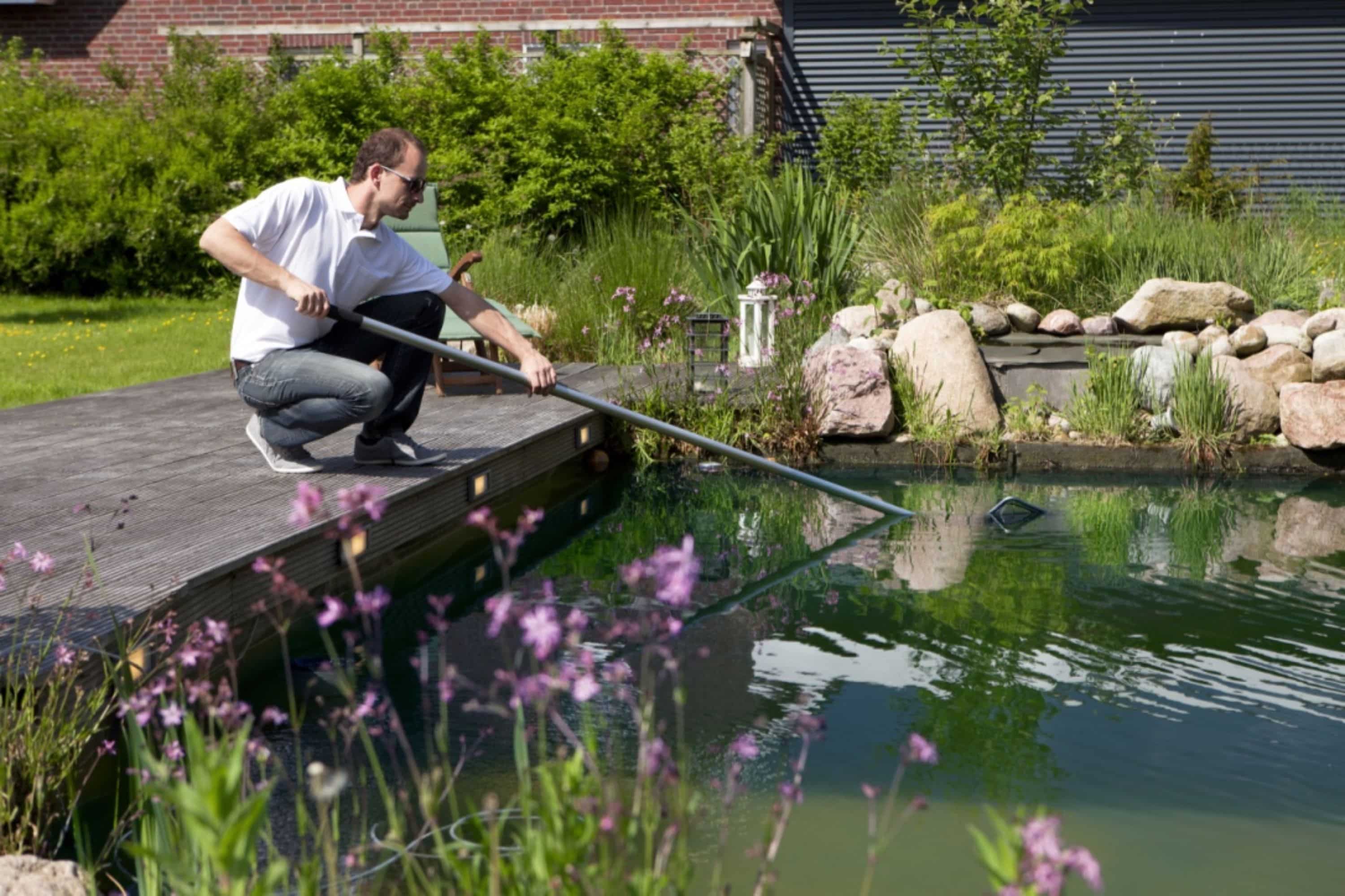 zwemvijver aanleggen tuin